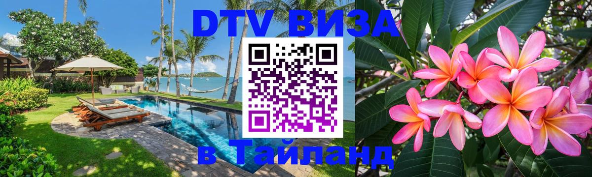 Сколько стоит DTV виза — актуальные цены, оформление даже без документов - 08.01.2026 